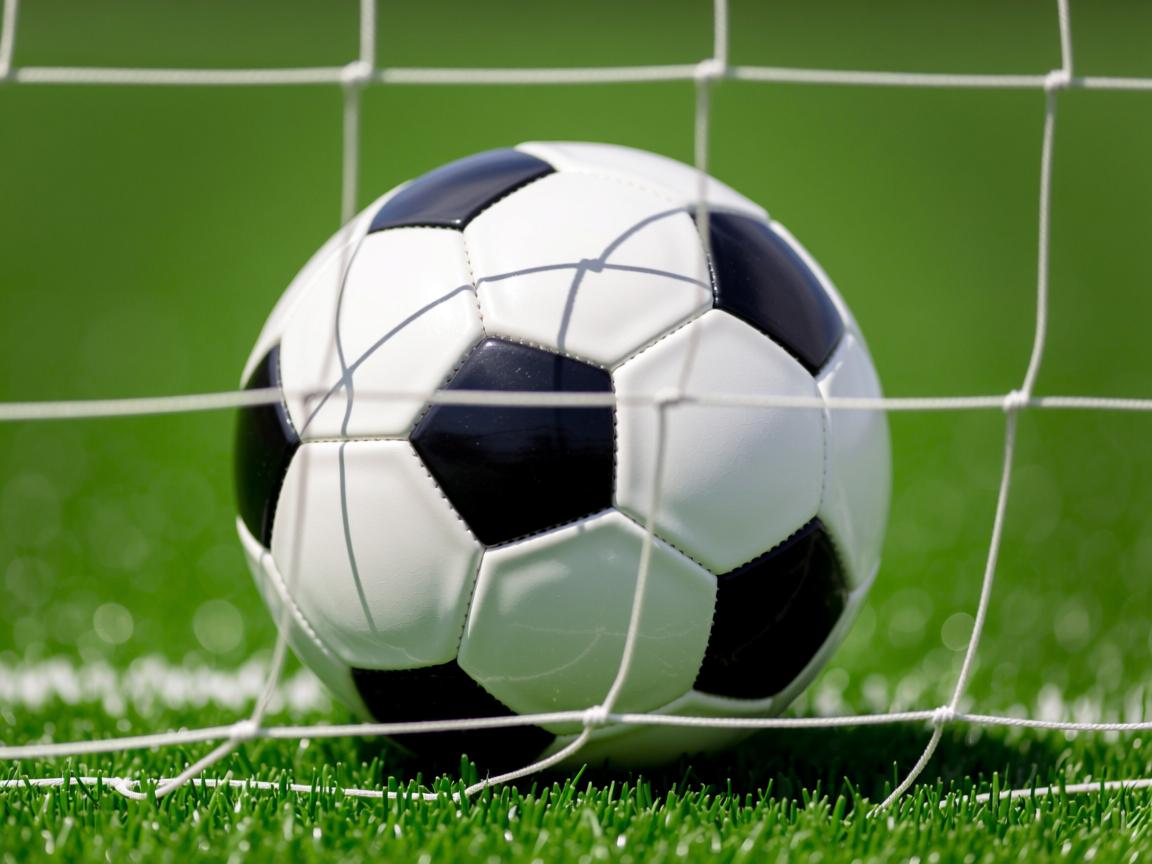 kaiyun网址-世界杯中国队复仇 球迷情绪高涨不已,世界杯中国对手 第2张