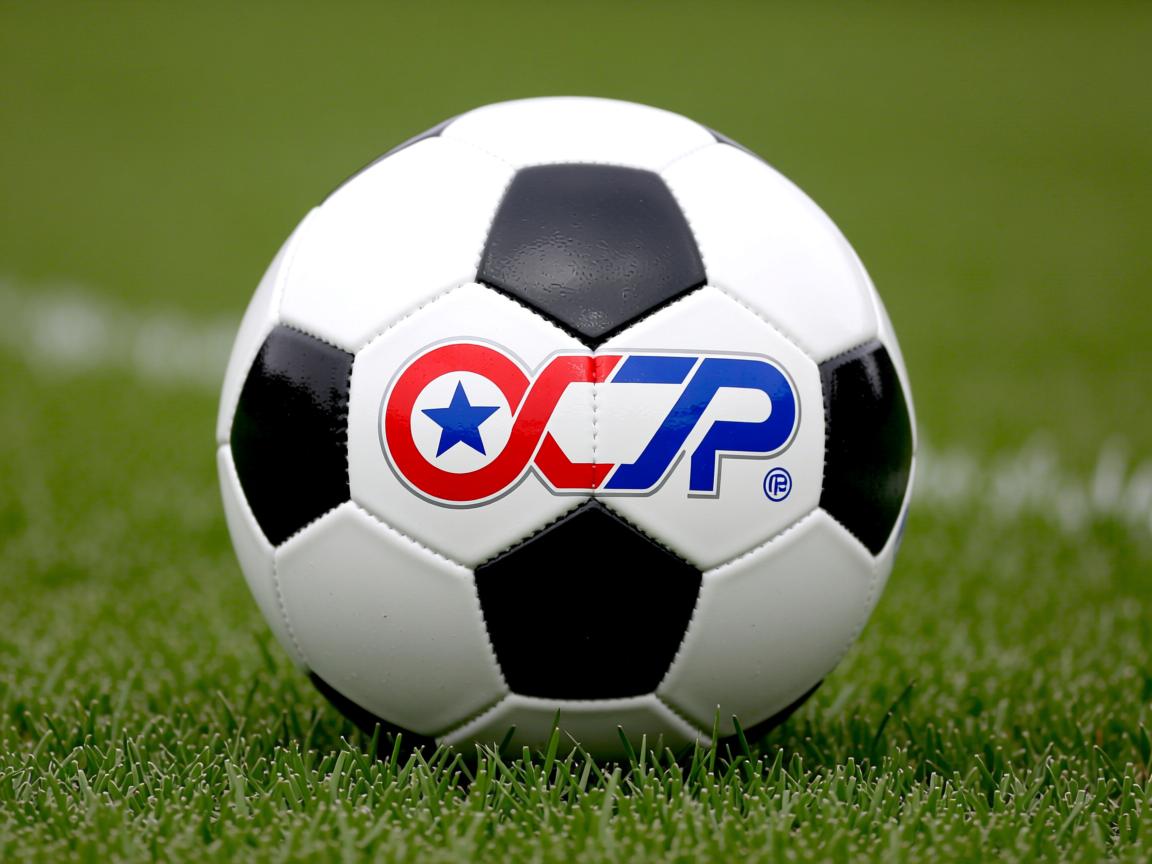 开云体育在线官网-中国体育博物馆开展奥运主题特展,中国体育博览会2020 第3张