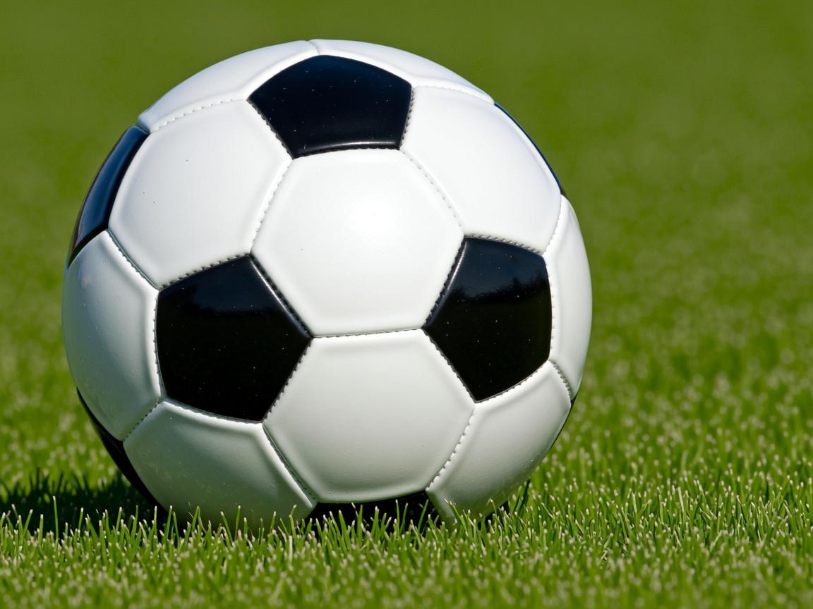 开云体育app入口-中国香港队如何加强国际合作与交流，提升团队战术执行力，香港队一起合影  第3张